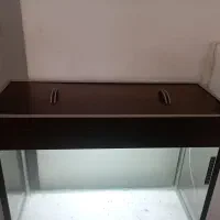 آکواریوم|ماهی|محمدیه-قزوین, |دیوار