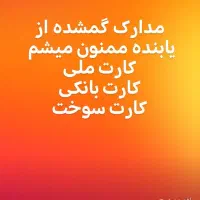 کیف کارت و مدارکم گم شده|اشیا|سقز, |دیوار
