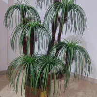 گلدان مصنوعی|گل مصنوعی|کرج, شهرک احمدیه‎|دیوار