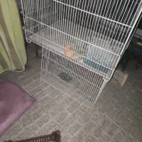 دو عدد قفس