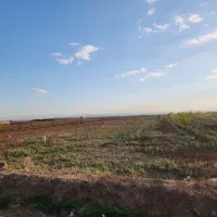 فروش زمین کشاورزی واقع در جاده کاشمر