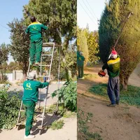 فصل هرس کاری بیل زنی|خدمات باغبانی و درختکاری|کرج, کمال‌شهر|دیوار