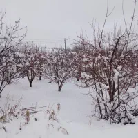 زمین-فروشی