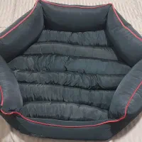 جا خواب سگ یا گربه