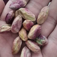مغز پسته ۶کیلو