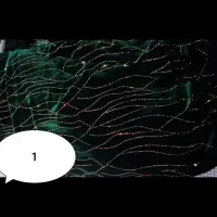 پارچه سرای مجلسی