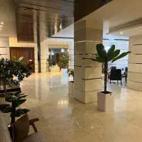 لابی من بازنشسته آقا