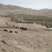 زمین فیروزکوه روستای تنگه واشی شهرآبادسند تک برگ|فروش زمین و ملک کلنگی|تهران, حکیمیه|دیوار