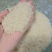 برنج هاشمی در یک