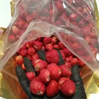 کاردرخانه،همکاری در فروش با نیرو خانم ،ادویه،دمنوش|استخدام بازاریابی و فروش|جغتای, |دیوار