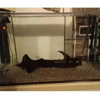 آکواریوم آکوا بلو