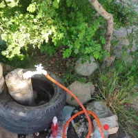 ۲هکتار باغ بر اتوبان تهران به زنجان معاوضه باماشین|فروش زمین و ملک کلنگی|صائین قلعه, |دیوار