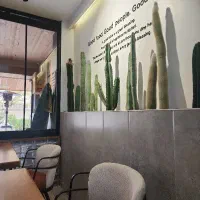 ویتر، سالندار خانم