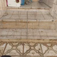 قفس پرنده|لوازم جانبی حیوانات|شیراز, سعدیه شمالی|دیوار