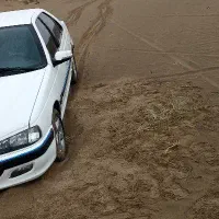 سند ماشین پژو 405