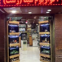 آکواریوم وماهی زینتی سینا رشت