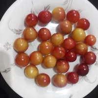 آلوچه جنگلی قرمز و ملس