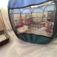 سیزده عدد قنارب همراه وسایل کامل