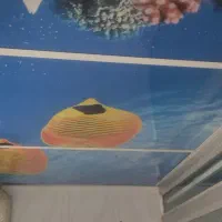 درب فیبری،سقف مجازی ،روشن گیر ،کابینت|مصالح و تجهیزات ساختمان|بیرجند, |دیوار