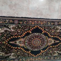 یک دست پشتی تازه درحدنو