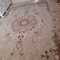 یک عدد فرش ۱۲ متری|فرش|اشتهارد, |دیوار