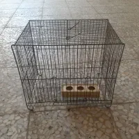 قفس پرنده