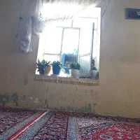 سلام همخونه میشم