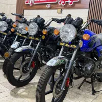 طرح کی ال دی باکسر فوری