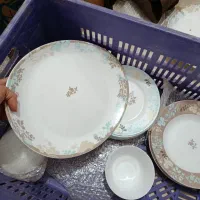 سرویس ارکوپال فرانسه لامینیک