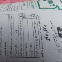 کودسفید