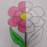 کلاس خصوصی پنجم دبستان