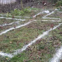 زمین برای فروش