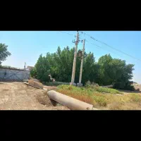 درخت خرید و فروش