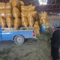 یونجه خشک|لوازم جانبی حیوانات|اهواز, سیاحی(سه راه خرمشهر)|دیوار