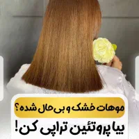 مدل هزینه مواد کراتین و پروتئین|خدمات آرایشگری و زیبایی|رشت, گلسار|دیوار