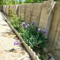 اجاره روزانه/هفتگی/ماهانه ویلا ۵۵۰ متری|اجارهٔ کوتاه‌مدت ویلا و باغ|ارومیه, |دیوار