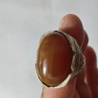 فروشی یامعاوضه هم دارم باپرنده|بدلیجات|برازجان, |دیوار