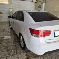 سراتو مدل 94 تک‌برگ بدون رنگ