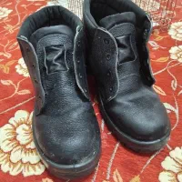 مرغ عشق ویک عدد کفش ایمنی|پرنده|بندر ماهشهر, |دیوار