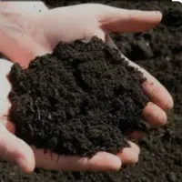 کود گوسفندی درجه یک فروش فقط تناژ بالا ارسال فوری