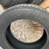 لاستیک نرئوس۱۶ ۵۵ ۲۰۵|قطعات یدکی و لوازم جانبی|تهران, والفجر (افسریه)|دیوار