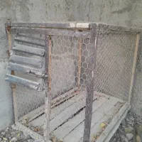 فروش پالت قفس|لوازم جانبی حیوانات|درگهان, |دیوار