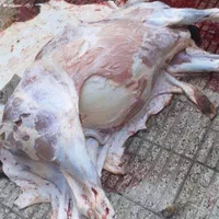 قصاب هستم|خدمات پذیرایی، مراسم|میناب, |دیوار