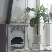 گل دیفن|گل و گیاه طبیعی|گرگان, |دیوار