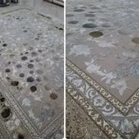 فروش انواع فرش های ماشینی|فرش|کاشمر, |دیوار