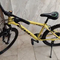 دوچرخه ویوا