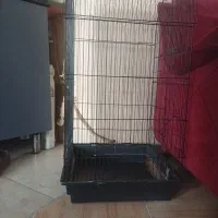 قفس بزرگ پرنده