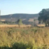 راننده تراکتور