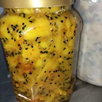 انواع ترشی انبه و فلفل روغنی وانواع لواشک و رب آلو