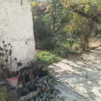 زمین-مسکونی